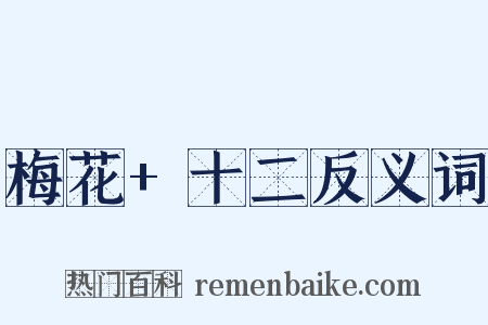 梅花+十二反义词是什么意思的图片